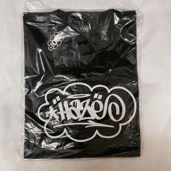 HAZE ORIGINAL LOGO Tシャツ 黒 L 送料無料 エリックヘイズ