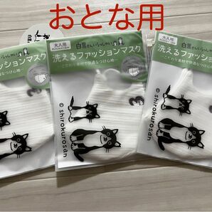 洗えるファッションマスク 3枚セット