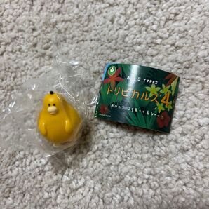 トリピカルズ4 ボクたちこう見えて鳥なの。