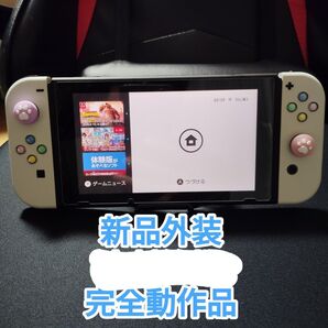 ニンテンドースイッチ 新品外装カスタム