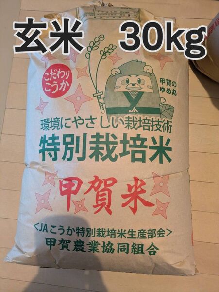 令和6年 特別栽培米 1等米 コシヒカリ 玄米30kg