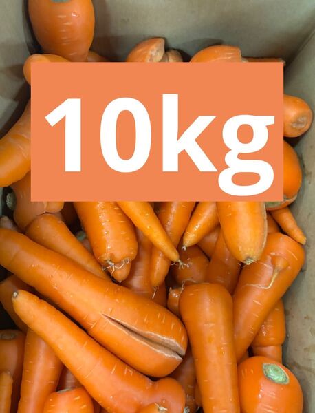 10kg 訳あり人参/業務用・家庭用におすすめ
