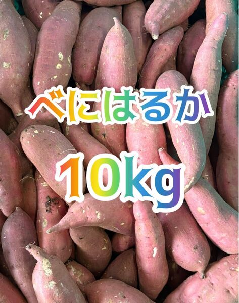 大きめさつまいも べにはるか10kg