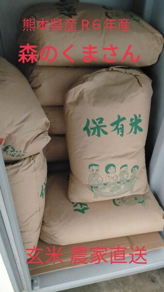 熊本県産「森のくまさん」玄米10kg 新米 農家直送