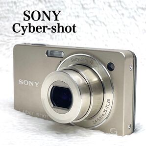 希少 SONY Cyber-Shot WX1 デジタルカメラ 付属品多数 ソニー サイバーショット デジカメ DSC-WX1