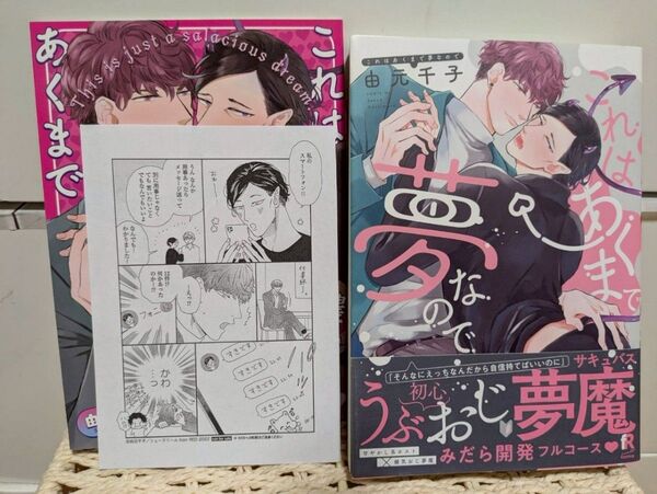 BLコミック これはあくまで夢なので 由元千子 アニメイト有償特典小冊子付き
