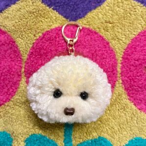 *うるうるアフロトイプードル ポンポン毛糸キーホルダー*クリーム ビションフリーゼ アイボリー 白 ホワイト うちの子 オーダー