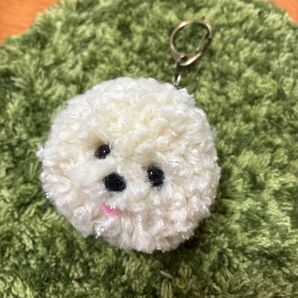 *うるうるおめめのビションフリーゼ ポンポン毛糸キーホルダー*カール ホワイト クリーム マルチーズ マルプー