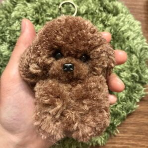*うるうるおめめのトイプードル ポンポン毛糸キーホルダー*レッド 濃い茶色