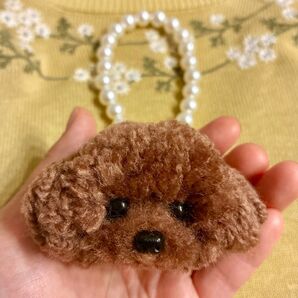 *うるうるおめめのトイプードル ポンポン毛糸キーホルダー*レッド 濃い茶色 テディベアカット うちの子 オーダー