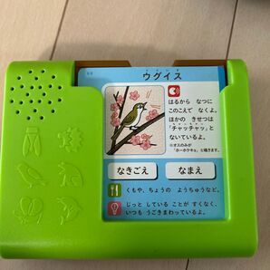 こどもちゃれんじ