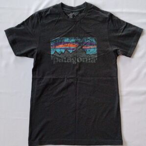【patagonia】パタゴニア マウンテンロゴTシャツ サイズS