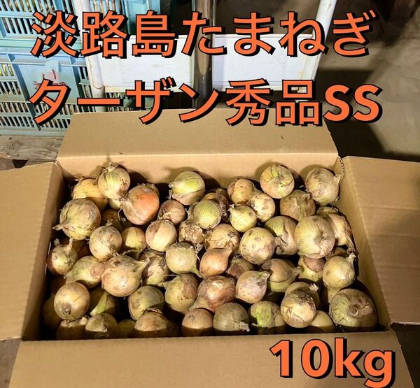 淡路島たまねぎ ターザンSS秀品 10kg