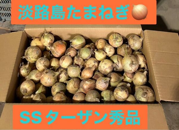 淡路島たまねぎ ターザン/SS秀品 5kg