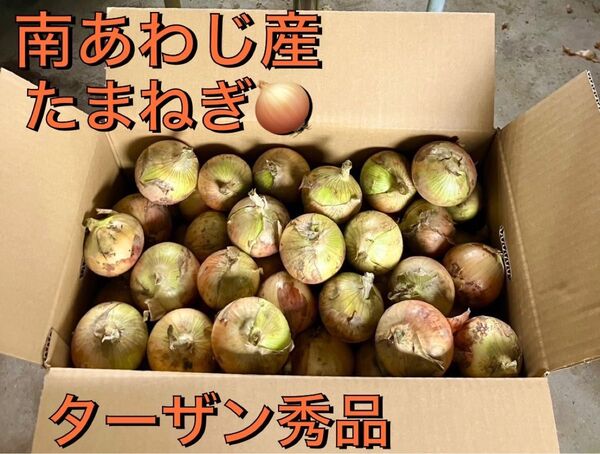 淡路島たまねぎ M5.kg 秀品 ターザン