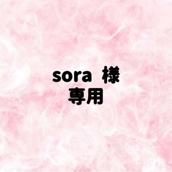 sora 様 専用 予約用