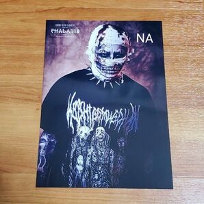 DIR EN GREY 京 PHALARIS FINAL ポートレート