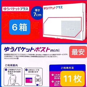 【最安】 ゆうパケットプラス専用箱6箱+ゆうパケットポストmini封筒11枚 ☆新品未使用☆ ヘアゴム1本付き