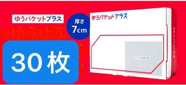 【新品未使用】ゆうパケットプラス 宅急便コンパクト 30枚 匿名配送 おてがる配送(日本郵便) 梱包資材 ミニおりがみ1枚