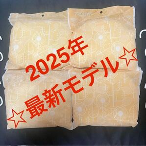 【最安値】最新モデル 帝人アクシア 除湿&消臭 乾っとソフトパックドライ イエロー 大4個 フック4個 ☆新品未使用☆