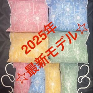 【最安値】最新モデル帝人アクシア 除湿&消臭 乾っとソフトパックドライ 大4個 スリム4個 フック4個☆新品未使用☆