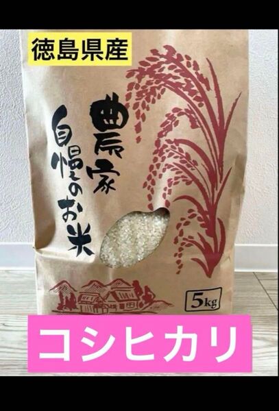 令和6年度産 徳島県産 コシヒカリ 10kg こしひかり