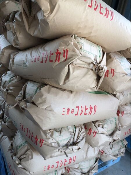 令和6年産 コシヒカリ 30kg 玄米