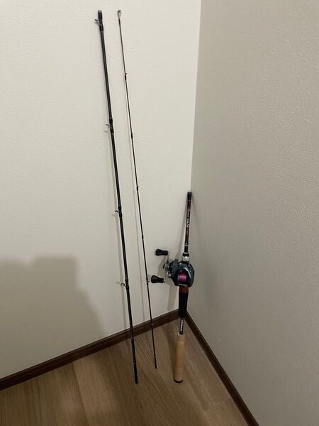 フィッシュマン インテ7.9UL