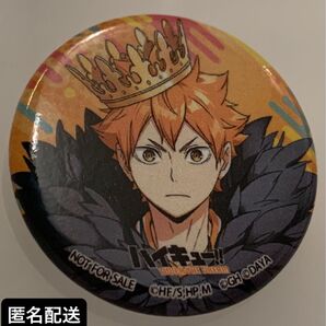 お値下げ中 ハイキュー ファンパーク fanpark ハイドリ 缶バッジ 日向翔陽(烏野高校)