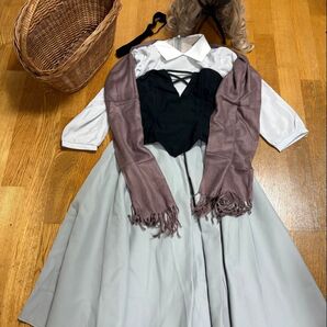 ディズニー 眠れる森の美女 ブライアローズ Dハロ 仮装 素人製