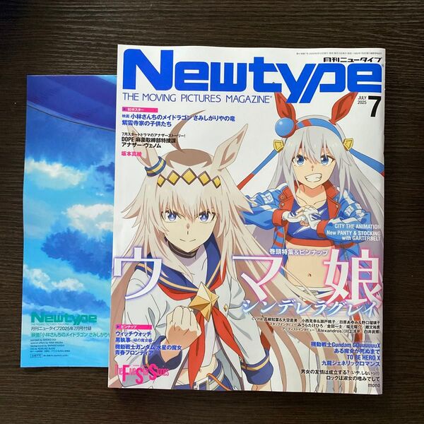 月刊ニュータイプ 2025年7月号 (KADOKAWA)