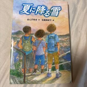 夏に降る雪 佐瀬真紀子 あまんきみこ 児童書