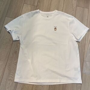 テスラTesla Hahau yes Tシャツ サイズxxxlです。