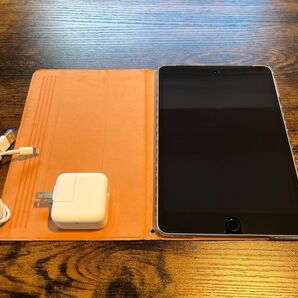 【美品】iPad mini4 スペースグレイ 128GB Cellularモデル