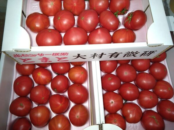 長崎県産「フルーツトマト」3箱セット