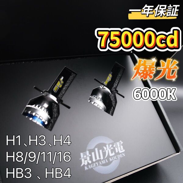 LED ヘッドライト バルブ フォグランプ 車 Hi/Lo 白 H4 H7 H8 H9 H10 H11 HB3 HB4 #S8-2