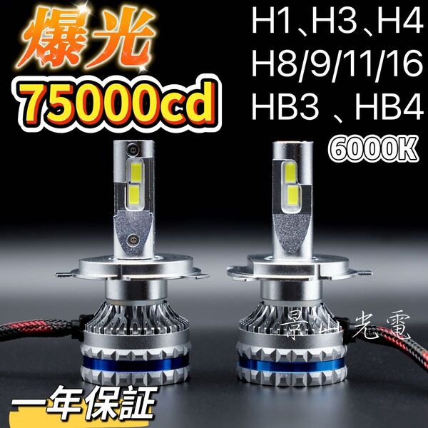 LED ヘッドライト バルブ フォグランプ 車 Hi/Lo 白 H4 H7 H8 H9 H10 H11 HB3 HB4 #S8-3