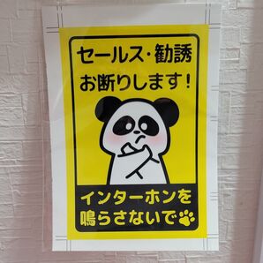 新品☆セールスお断り ステッカー 1枚