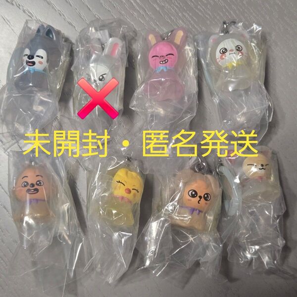 SKZOO めじるしアクセサリー セミコンプリート