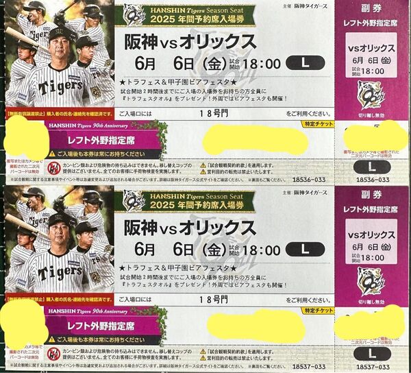 6/6(金)交流戦甲子園初日 阪神vsオリックス 18:00〜 レフト外野指定席