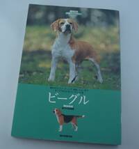 送料無料★レア 単行本 ビーグル 愛犬の友 犬種ライブラリー 魅力 歴史 スタンダード解説 繁殖の実際 犬種登録 ショー ハンドリング等_画像2