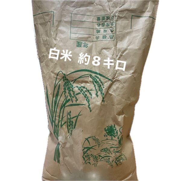 令和5年産 コシヒカリ 古米 白米 袋込 約8.6キロ