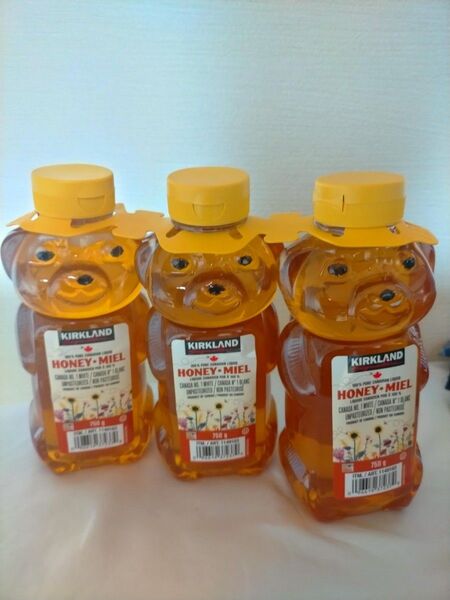 蜂蜜 はちみつ ベアージャグハニー750g/瓶 3本セット 物価高のために価格交渉不可ご了承ください。