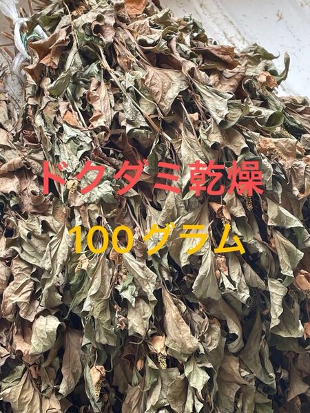 ドクダミ乾燥 100g