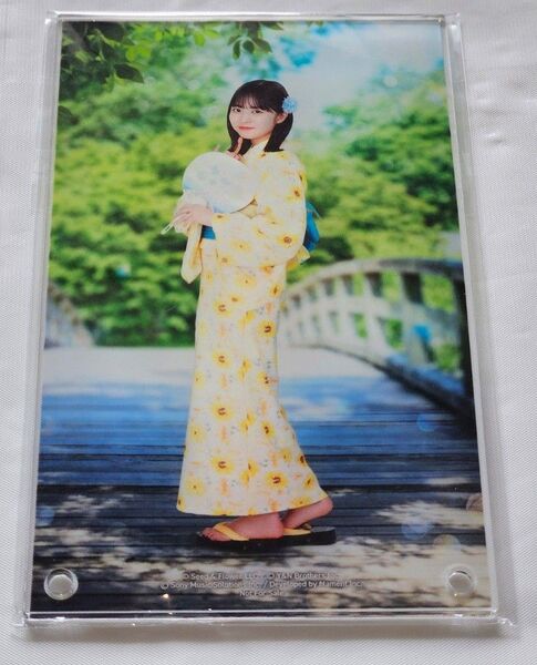 日向坂46 ひな図書 正源寺陽子 アクリルアートパネルサインなし浴衣姿