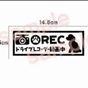 送料無料!トイプードル ドラレコ ステッカー リアガラス 車 犬