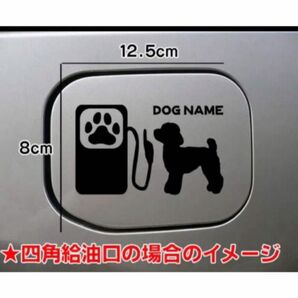 送料無料!トイプー 犬 DOG ステッカー リアガラス トイプードル 給油口 車