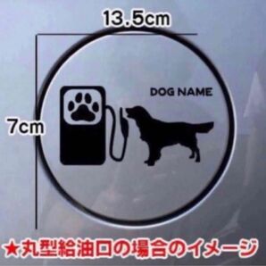 送料無料!ゴールデンレトリバー 給油口 ステッカー リアガラス 車 犬