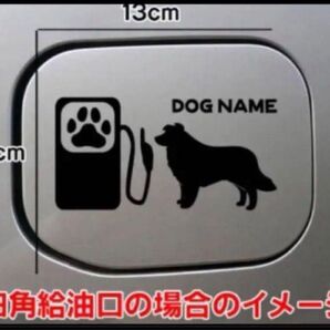 【送料無料】ボーダーコリー ステッカー 給油口 リアガラス シルエット 車 犬