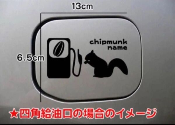 送料無料!しまりす シマリス ステッカー 給油口 リアガラス 車